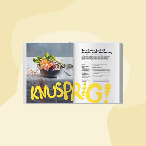 LVBuch Kochbuch Buchcover Knallersalate Ylva Bergqvist Foodies Gourmet Geschenk Feinkost Feinkostladen Geschenkeladen Köln Online Shop