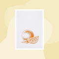 1730 Geschirrtuch Handtuch Orangen Baumwolle Aufdruck Geschenke Geschenkeladen Köln Feinkostladen Online Shop Gourmet