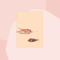30x40 Postkarte Fische minimalistisch Non-Food Concept Store Feinkostladen Feinkost Geschenke Geschenkeladen Online Shop Foodies Gourmets