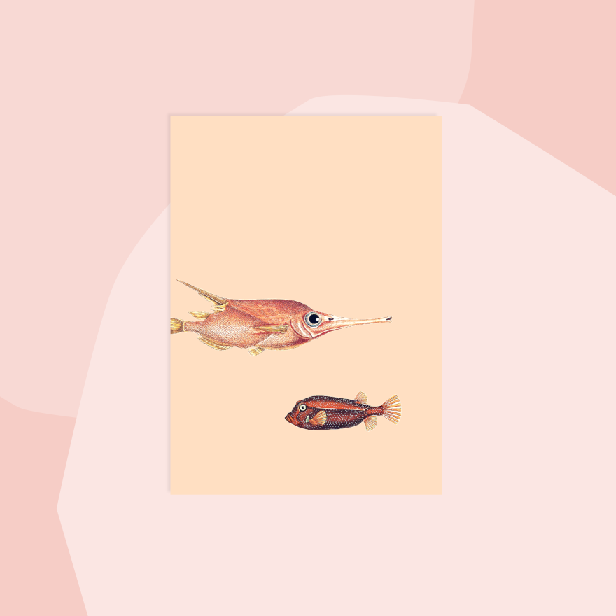 30x40 Postkarte Fische minimalistisch Non-Food Concept Store Feinkostladen Feinkost Geschenke Geschenkeladen Online Shop Foodies Gourmets