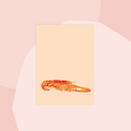 30x40 Postkarte Hummer minimalistisch Non-Food Concept Store Feinkostladen Feinkost Geschenke Geschenkeladen Online Shop Foodies Gourmets