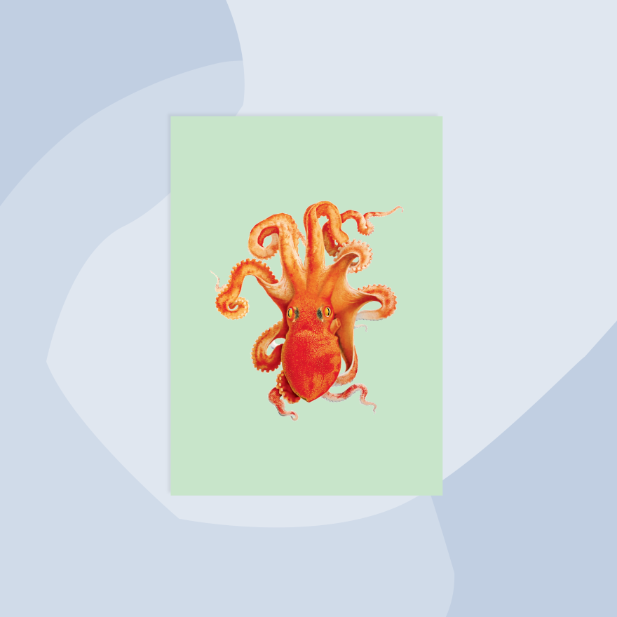 30x40 Postkarte Oktopus minimalistisch Non-Food Concept Store Feinkostladen Feinkost Geschenke Geschenkeladen Online Shop Foodies Gourmets