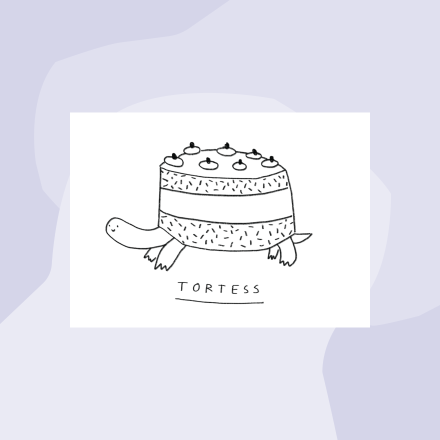 Caroline Frett Tortess Schildkröte Postkarte Concept Store Feinkostladen Feinkost Geschenke Geschenkeladen Köln Online Shop Foodies Gourmets