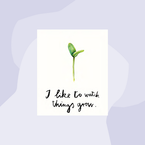 Silke Schmidt Postkarte Things grow Concept Store Feinkostladen Feinkost Geschenke Geschenkeladen Köln Online Shop Foodies Gourmets