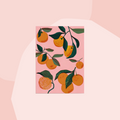 jungwiealt Postkarte Orangen Concept Store Feinkostladen Feinkost Geschenke Geschenkeladen Köln Online Shop Foodies Gourmets
