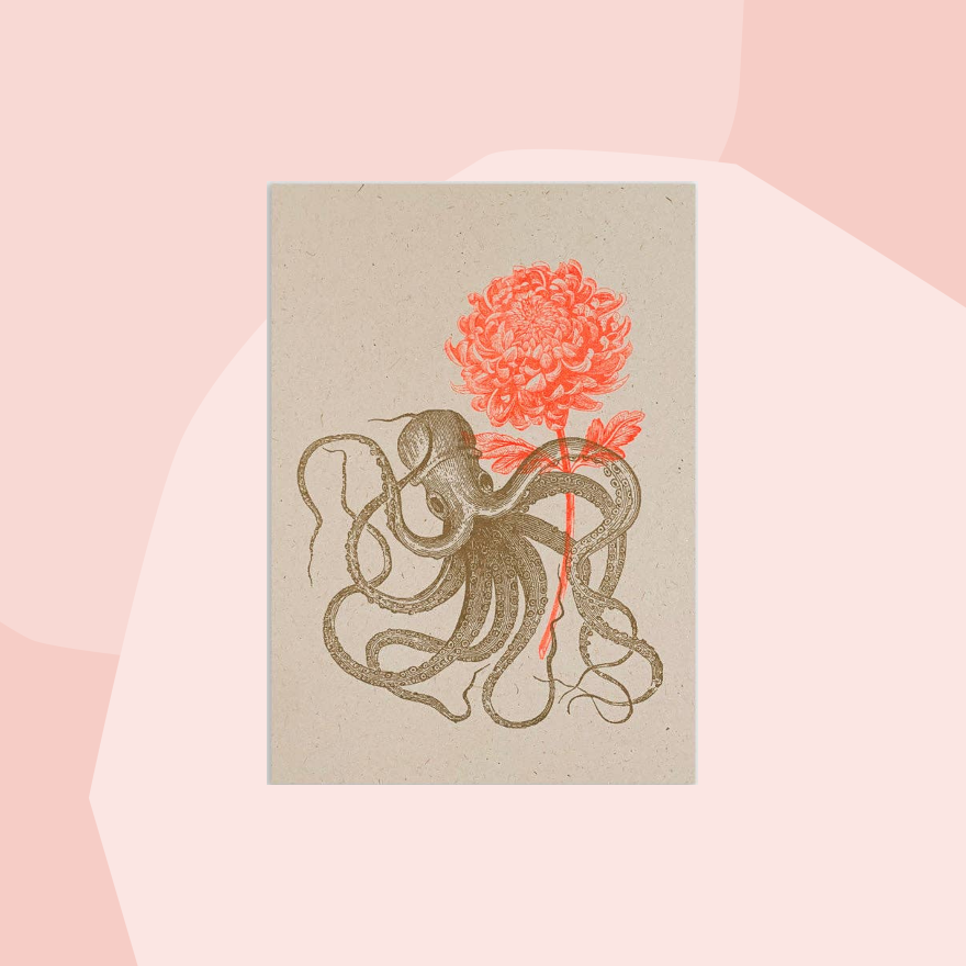 togethery Postkarte Oktopus Blume Feinkost Online Shop Feinkostladen Geschenke  Geschenkeladen Köln Foodies Gourmets Concept Store