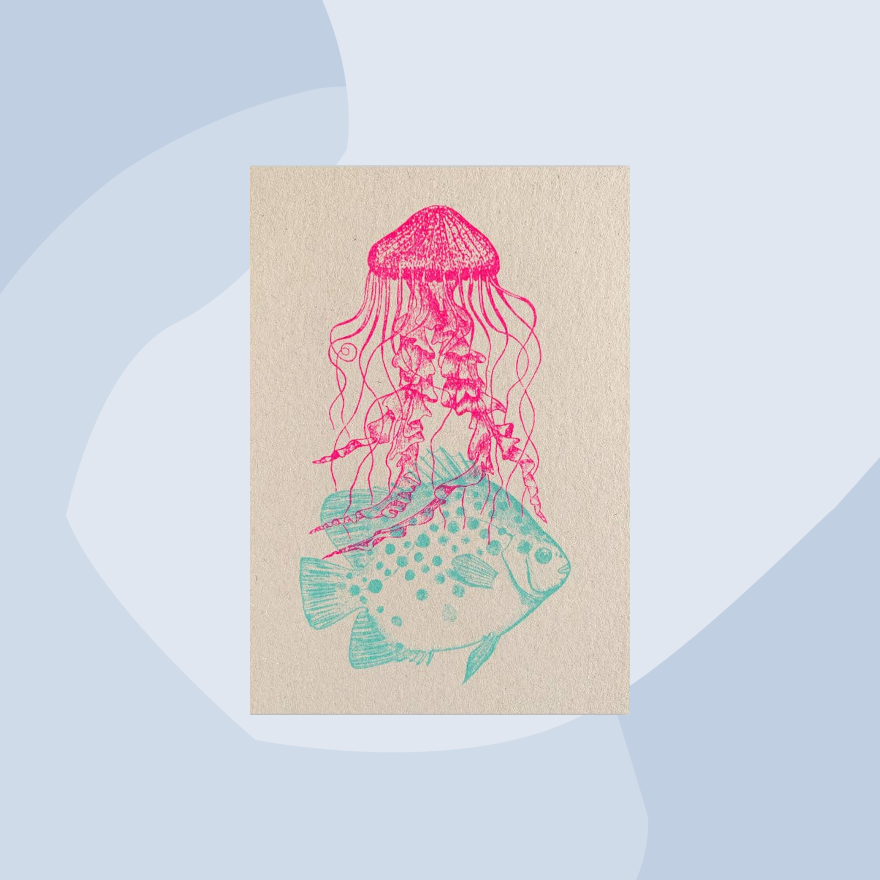 togethery Postkarte Qualle Fisch Feinkost Online Shop Feinkostladen Geschenke  Geschenkeladen Köln Foodies Gourmets Concept Store